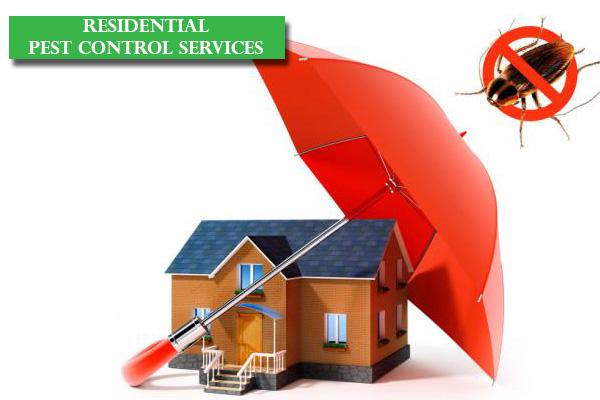 Best Pest Control Services Near Me August 2021 Find Nearby Pest 